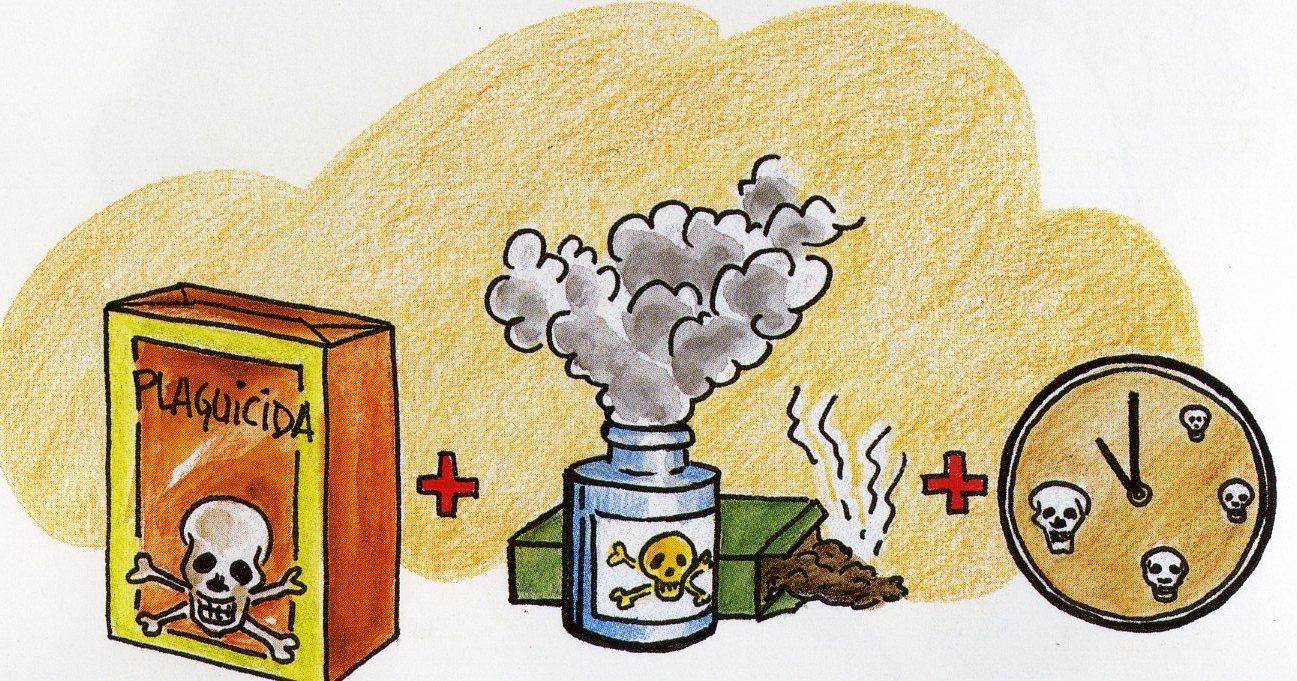  CAMPO FREMAP (62)  IMAGENES DIBUJOS JPG